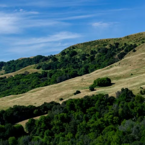 Take a short drive to nearby Surrey Hills AONB and Guildford