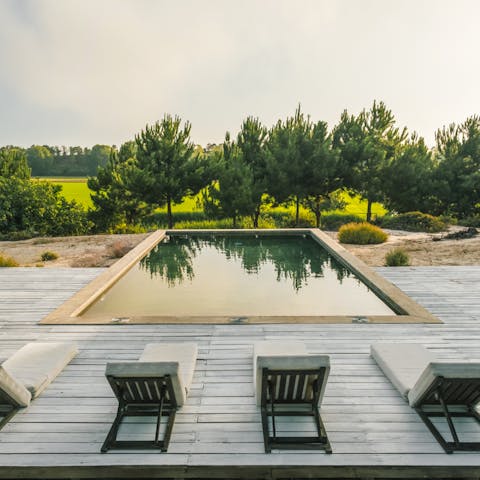 Lounge by the pool, surrounded by luscious greenery, occasionally taking a dip in its serene waters