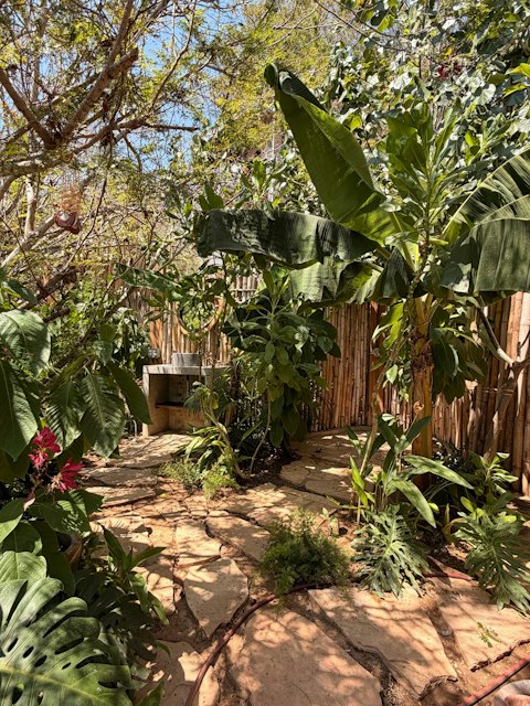 Freshen up surrounded by lush tropical greenery