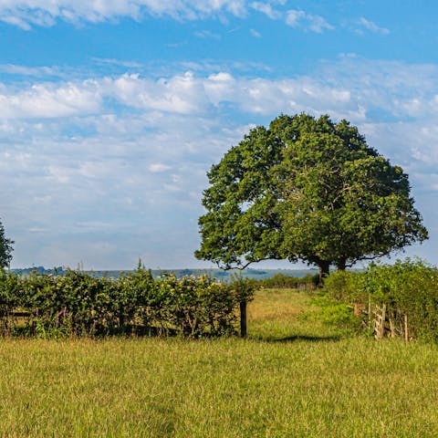 Go walking in the countryside or visit Tewkesbury, under 4 miles away