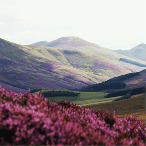 Hike the Pentland Hills for a true escape to nature