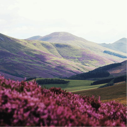 Hike the Pentland Hills for a true escape to nature