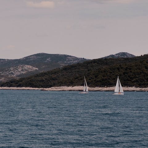 Set sail on a boat trip and explore the coast