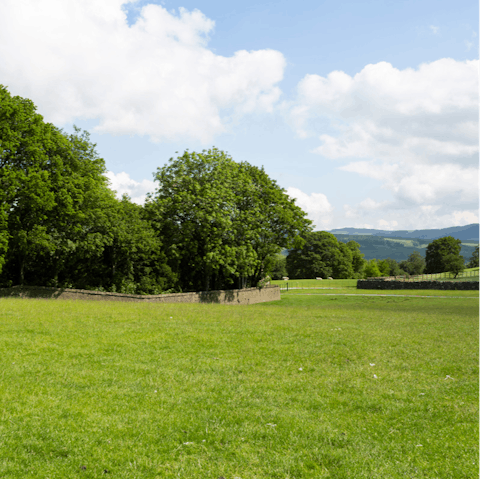 Amble around the beautiful green grounds