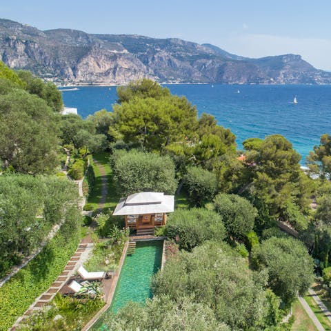 Swim laps in the pool, tucked away in the garden
