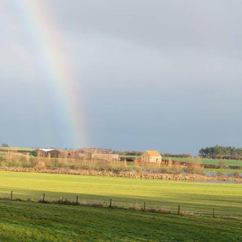 Make the most of your rural surroundings and let the kids explore the vast gardens