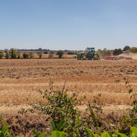 Stay in the heart of Norfolk's farming country – Diss is less than thirty minutes by car