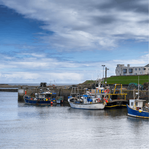 Explore the Northumberland Coast, you're just an eighteen-minute walk from Seahouses