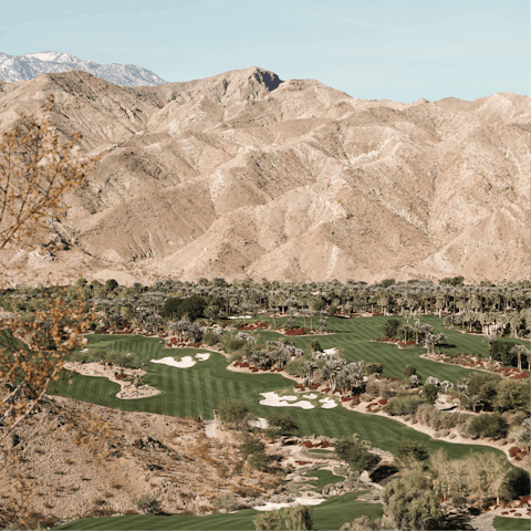 Golfers can take their pick of tee times at any of the 200 or so gold courses in the area