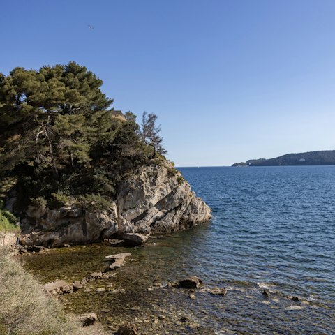 Take a dip in the secluded cove, steps away from the garden