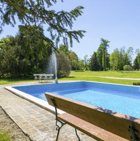 Take a dip into pool