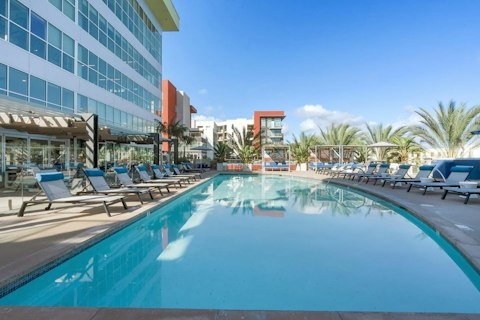 Cool off in the communal pool surrounded by palm trees