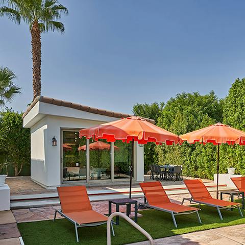 Lounge amongst the palms