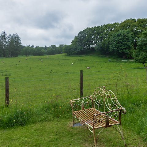 Watch the world go by on the cute garden bench