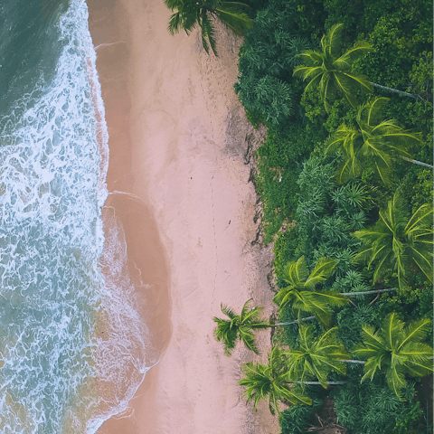 Take a short drive to Galle and its beautiful beaches