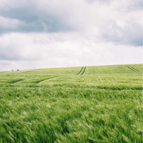 Take a hike across the rural destination while enjoying the peace and quiet