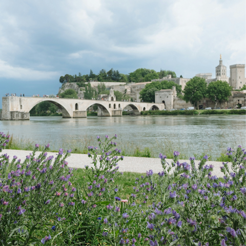 Eat your way around Avignon, around a thirty-minute drive away