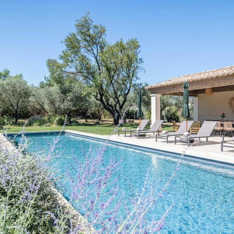 Enjoy the aroma of lavender as you float in the pool