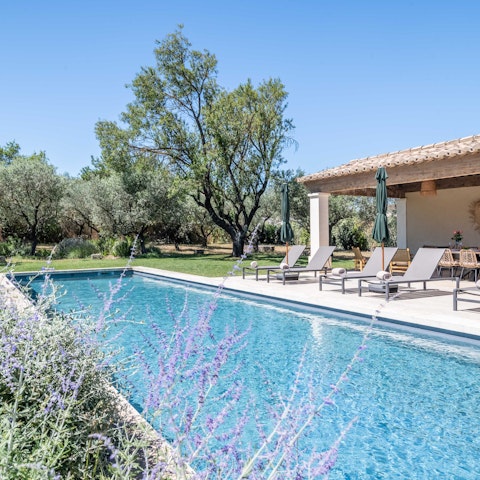 Enjoy the aroma of lavender as you float in the pool
