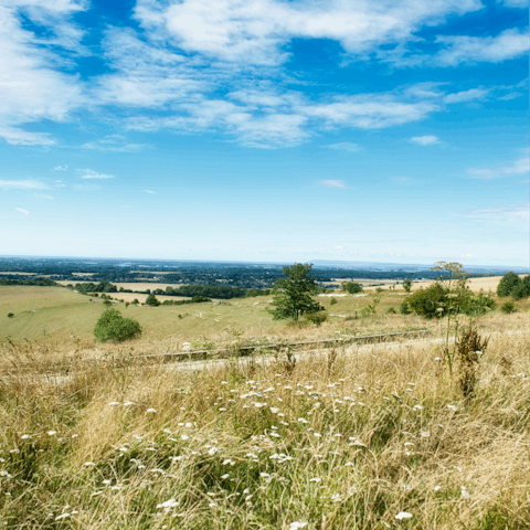 Take a day trip to Chichester, just a half-hour drive away