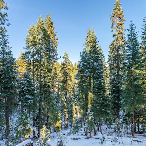 Experience the peace and quiet of this tranquil setting