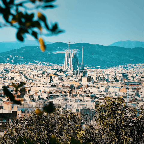 Discover Barcelona from a the trendy and central neighbourhood of Gracia