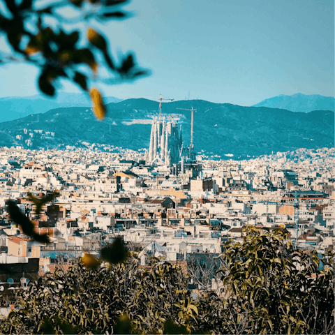 Discover Barcelona from a the trendy and central neighbourhood of Gracia