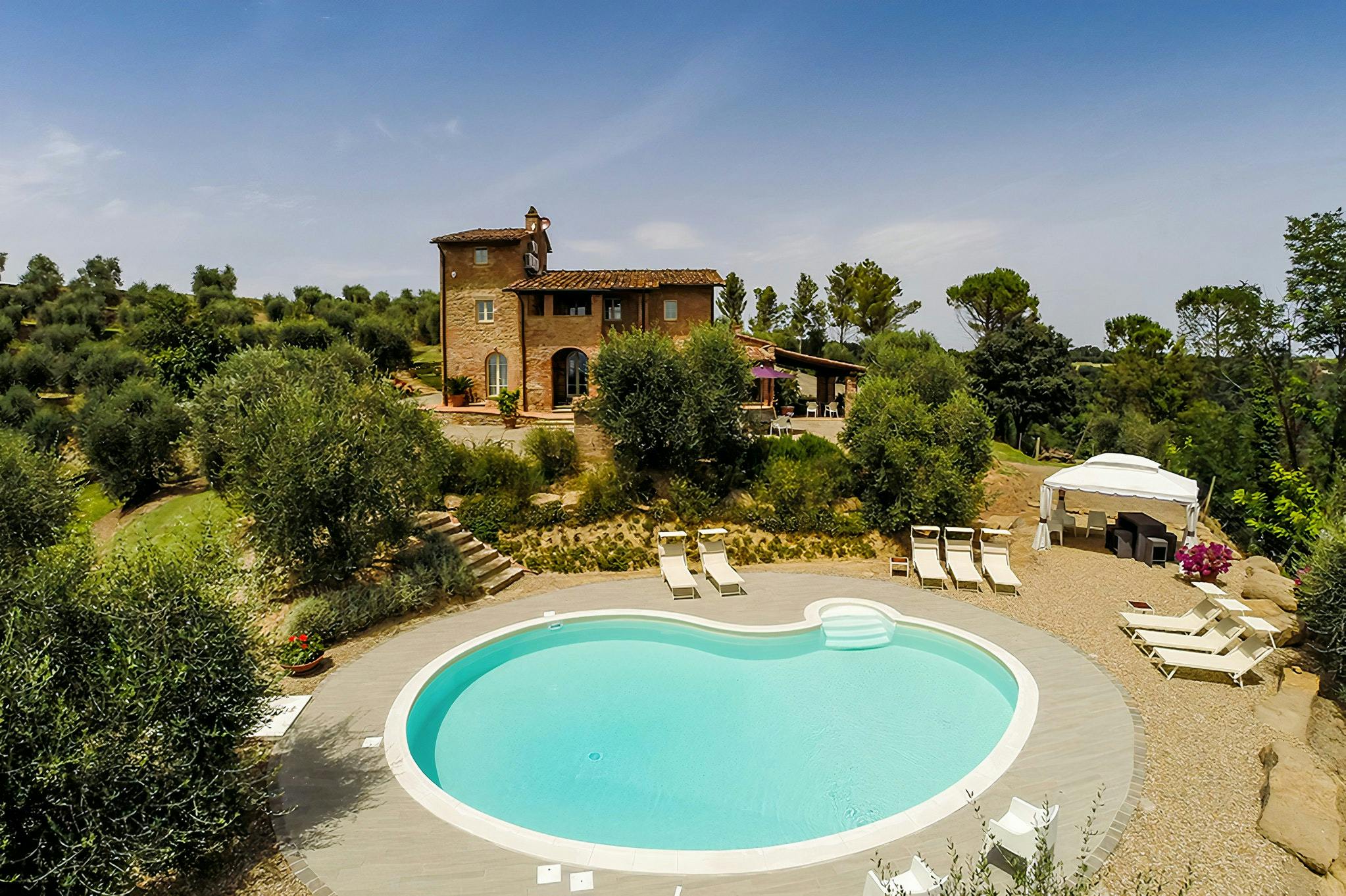 Fig Trees in Tuscany