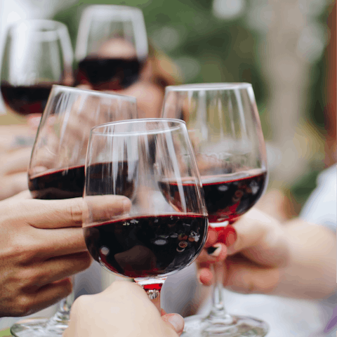 Sample the local Port wine on a wine tasting