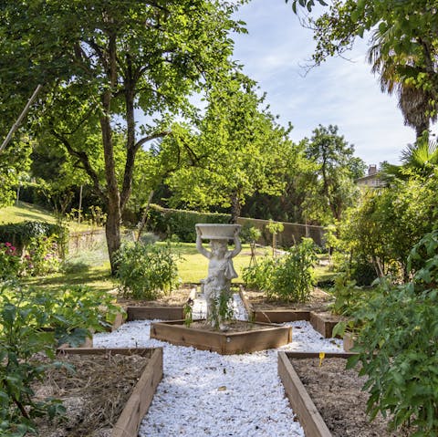 Take a stroll through the fruit and vegetable garden