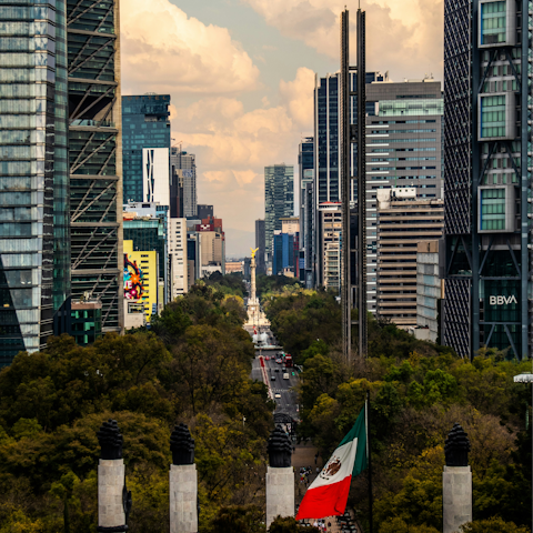 Immerse yourself in the electric atmosphere of Mexico City