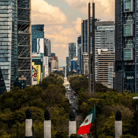Immerse yourself in the electric atmosphere of Mexico City