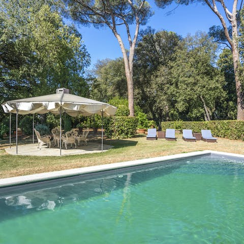 Laze on loungers by the pool before taking the plunge surrounded by gorgeous greenery