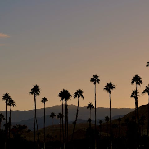 Explore Palm Springs, including the nearby sought-after Movie Colony neighbourhood
