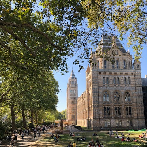 Explore the wonders of the Natural History Museum