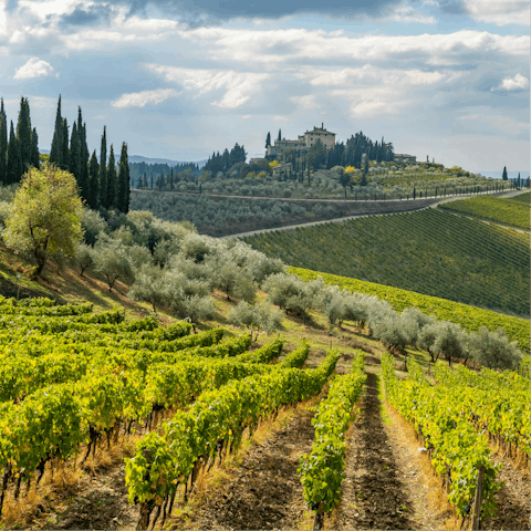 Take a scenic drive to the historic hilltop town of Radda in Chianti