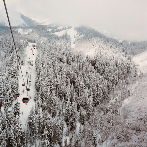 Explore Deer Valley's world-class slopes