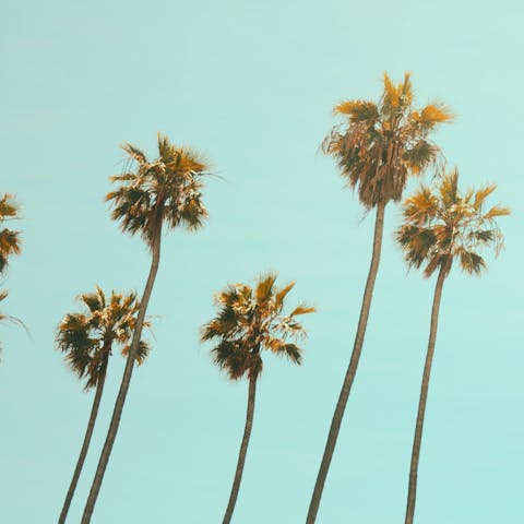 Experience the magic of California living from the heart of Encino