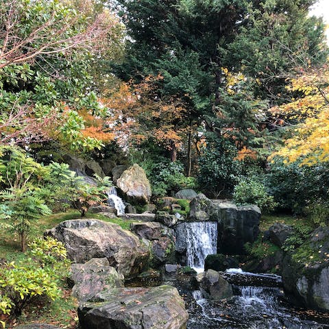 Take your morning walk through Holland Park, right around the corner