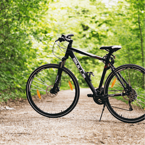 Take a tour of the Italian countryside on one of the home's included bicycles
