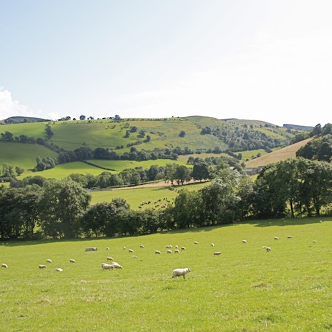 Watch the sheep graze in the valley from your quiet garden