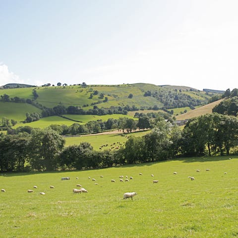 Watch the sheep graze in the valley from your quiet garden