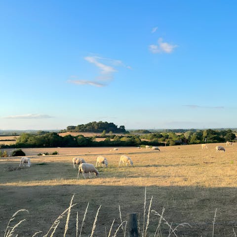 Step outside and follow hiking trails into the Oxfordshire countryside