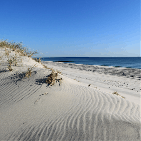 Take a drive to visit nearby Folly Beach