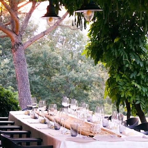 Have dinner in the shade of the hanging vines