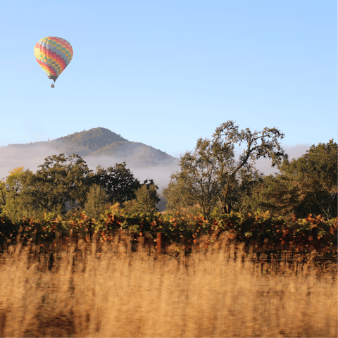 Immerse yourself in the natural beauty of the Napa Valley