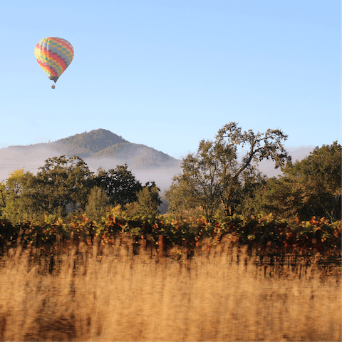 Immerse yourself in the natural beauty of the Napa Valley