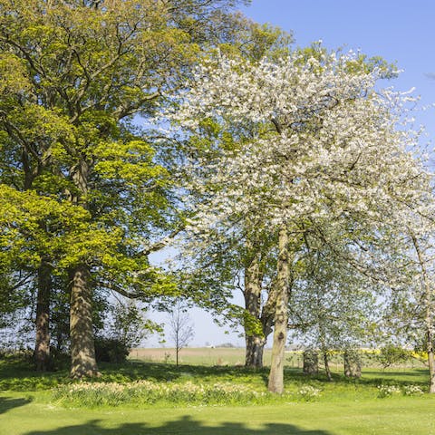 Go for a stroll in the large, gorgeous grounds