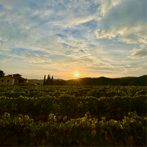 Bask in the Tuscan splendour of Gaiole in Chianti