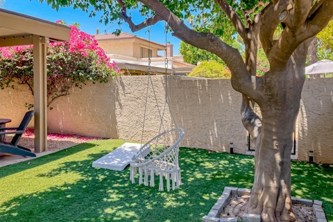 Swing beneath a mature tree in the sun-filled garden